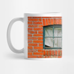 Old window in brick wall Mug